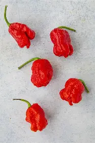 Carolina Reaper